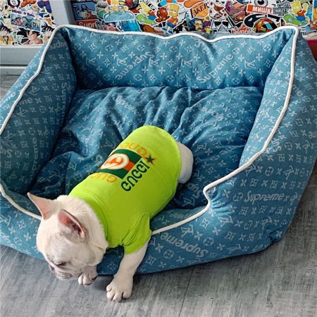 グッチ犬ｔシャツ ウェア